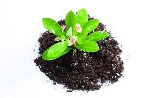 如何评估企业管理的实际效果